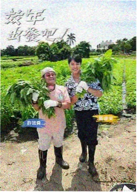 免费综艺 动画